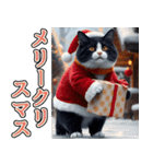 飛び出す★冬を感じるハチワレ_挨拶（個別スタンプ：23）