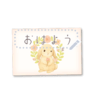 書き込める♥ウサギのハガキ型カード 改（個別スタンプ：1）