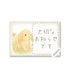 書き込める♥ウサギのハガキ型カード 改（個別スタンプ：8）