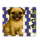 犬の メッセージ スタンプ 117（個別スタンプ：1）