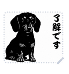 犬の メッセージ スタンプ 17（個別スタンプ：1）