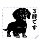 犬の メッセージ スタンプ 17（個別スタンプ：2）