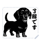犬の メッセージ スタンプ 17（個別スタンプ：3）