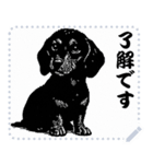 犬の メッセージ スタンプ 17（個別スタンプ：7）