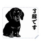 犬の メッセージ スタンプ 17（個別スタンプ：8）