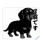 犬の メッセージ スタンプ 17（個別スタンプ：10）