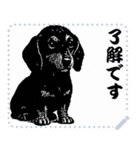 犬の メッセージ スタンプ 17（個別スタンプ：12）