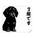 犬の メッセージ スタンプ 17（個別スタンプ：13）