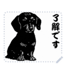 犬の メッセージ スタンプ 17（個別スタンプ：14）