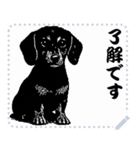 犬の メッセージ スタンプ 17（個別スタンプ：15）