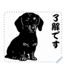 犬の メッセージ スタンプ 17（個別スタンプ：16）