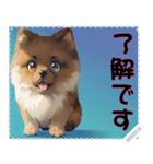 子犬の メッセージ スタンプ 17（個別スタンプ：4）