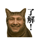 【爆笑】おじさんと猫が融合した＠日常会話（個別スタンプ：1）