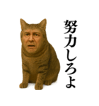 【爆笑】おじさんと猫が融合した＠日常会話（個別スタンプ：5）