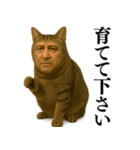 【爆笑】おじさんと猫が融合した＠日常会話（個別スタンプ：10）