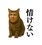 【爆笑】おじさんと猫が融合した＠日常会話（個別スタンプ：11）