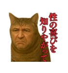 【爆笑】おじさんと猫が融合した＠日常会話（個別スタンプ：14）