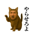 【爆笑】おじさんと猫が融合した＠日常会話（個別スタンプ：17）