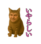 【爆笑】おじさんと猫が融合した＠日常会話（個別スタンプ：27）
