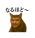 【爆笑】おじさんと猫が融合した＠日常会話（個別スタンプ：29）