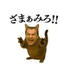 【爆笑】おじさんと猫が融合した＠日常会話（個別スタンプ：33）
