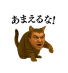 【爆笑】おじさんと猫が融合した＠日常会話（個別スタンプ：37）
