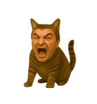 【爆笑】おじさんと猫が融合した＠日常会話（個別スタンプ：39）