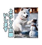 飛び出す★冬を感じる白柴_挨拶（個別スタンプ：5）