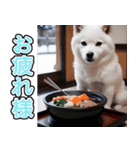 飛び出す★冬を感じる白柴_挨拶（個別スタンプ：6）
