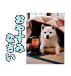 飛び出す★冬を感じる白柴_挨拶（個別スタンプ：8）