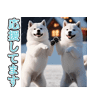 飛び出す★冬を感じる白柴_挨拶（個別スタンプ：17）