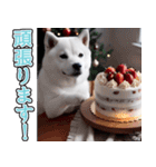 飛び出す★冬を感じる白柴_挨拶（個別スタンプ：18）