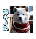 飛び出す★冬を感じる白柴_挨拶（個別スタンプ：22）