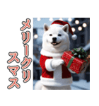 飛び出す★冬を感じる白柴_挨拶（個別スタンプ：23）