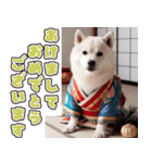 飛び出す★冬を感じる白柴_挨拶（個別スタンプ：24）