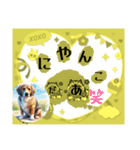 ワンワンしりとりPart1（個別スタンプ：25）