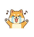 柴わんこ喜怒哀楽（個別スタンプ：2）