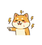 柴わんこ喜怒哀楽（個別スタンプ：3）