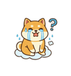 柴わんこ喜怒哀楽（個別スタンプ：11）