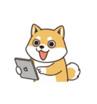 柴わんこ喜怒哀楽（個別スタンプ：15）
