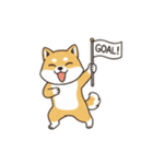 柴わんこ喜怒哀楽（個別スタンプ：16）