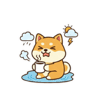 柴わんこ喜怒哀楽（個別スタンプ：19）
