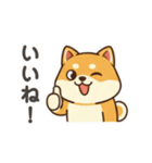 柴わんこ喜怒哀楽（個別スタンプ：22）