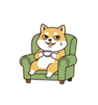 柴わんこ喜怒哀楽（個別スタンプ：32）