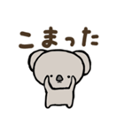 毎日使えるコアラのスタンプ（個別スタンプ：22）