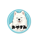 モフモフサモエドのシロ君（個別スタンプ：2）