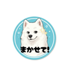 モフモフサモエドのシロ君（個別スタンプ：3）