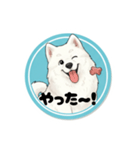 モフモフサモエドのシロ君（個別スタンプ：4）