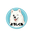 モフモフサモエドのシロ君（個別スタンプ：6）