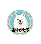 モフモフサモエドのシロ君（個別スタンプ：7）